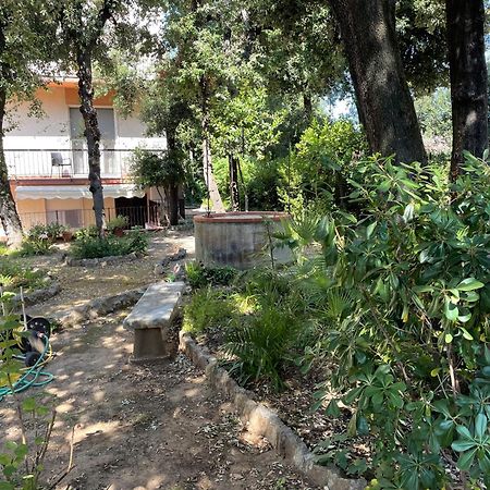 サン·ヴィンチェンツォGiardino Sud - A Pochi Passi Dal Mareアパートメント エクステリア 写真